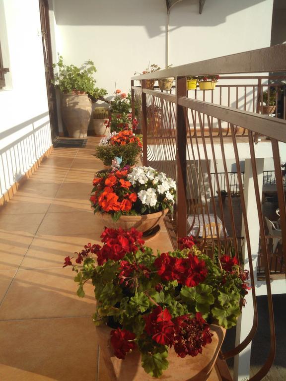 Apartmani Dado Ulcinj Zewnętrze zdjęcie